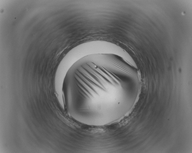 X0000078290572200611251446