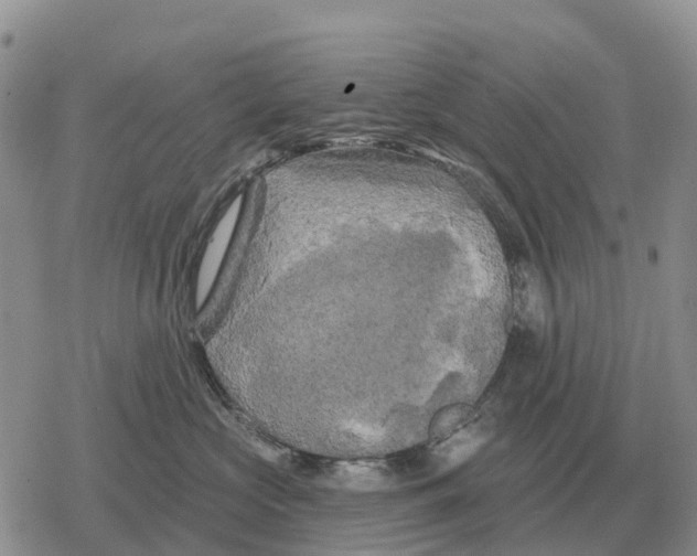 X0000078290573200611251446