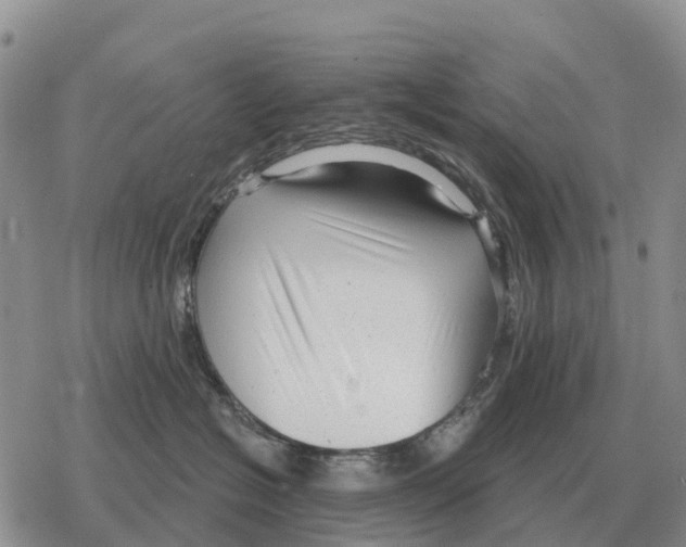 X0000078290574200611251446