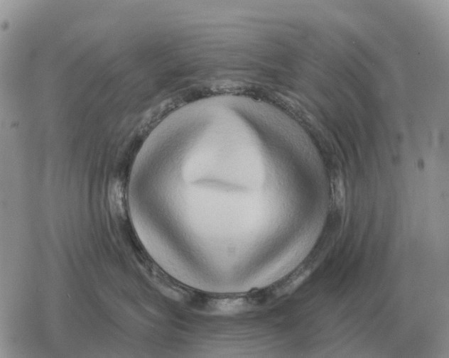 X0000078290575200611251446