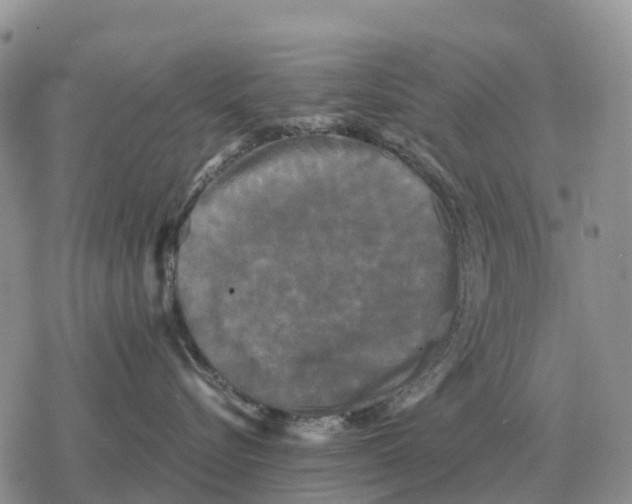 X0000078290576200611251446