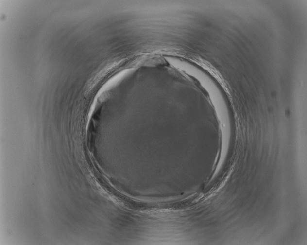 X0000078290577200611251445