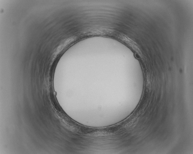 X0000078290578200611251445