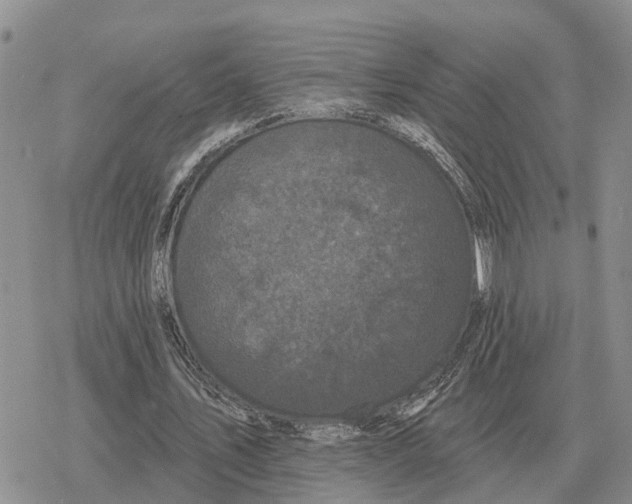 X0000078290579200611251445