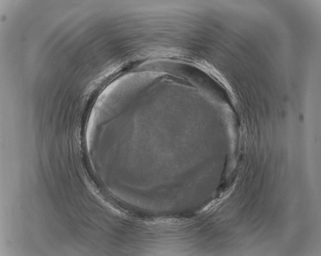 X0000078290581200611251445