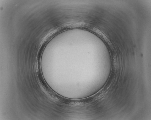 X0000078290582200611251445