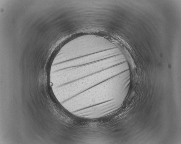 X0000078290584200611251445