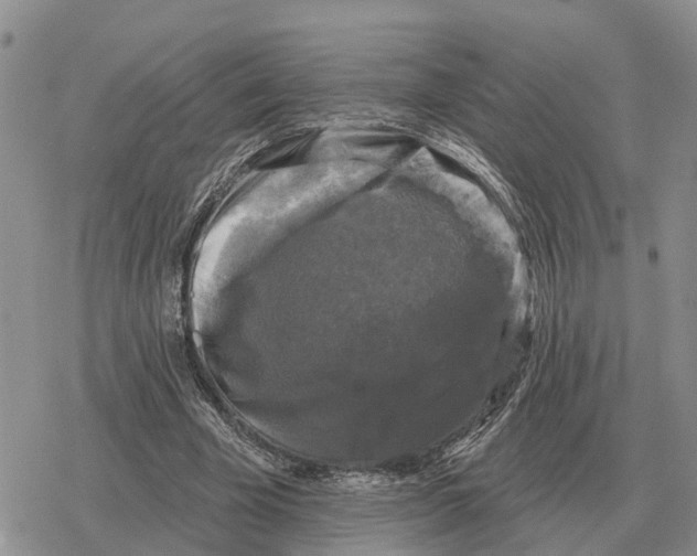 X0000078290585200611251445