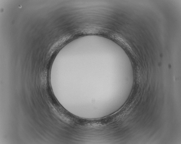 X0000078290586200611251445