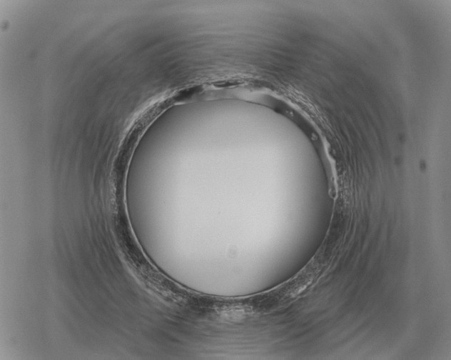 X0000078290587200611251445