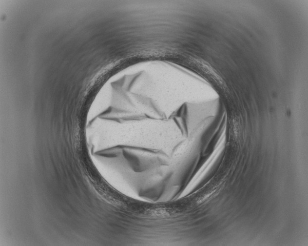 X0000078290588200611251445