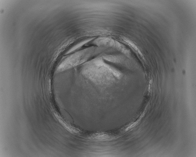 X0000078290589200611251445