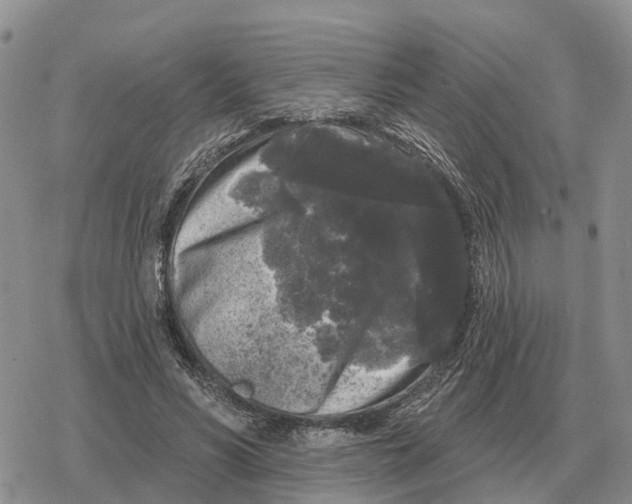 X0000078290590200611251445