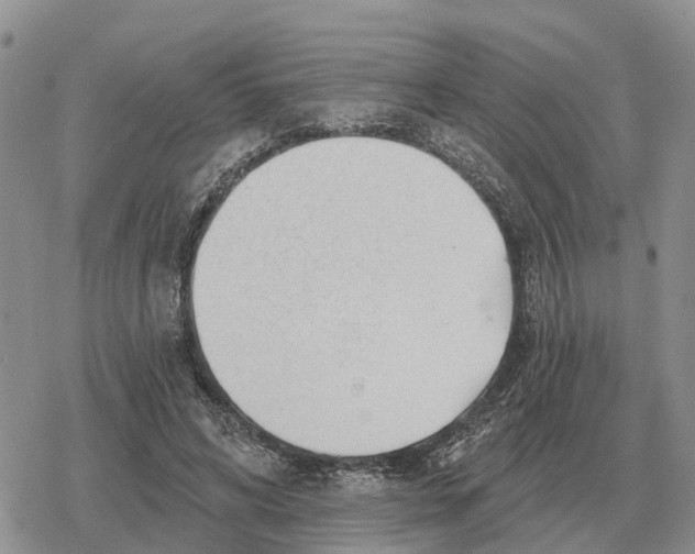 X0000078290592200611251445