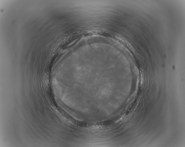 X0000078290593200611251445