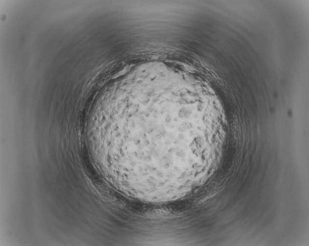 X0000078290594200611251445