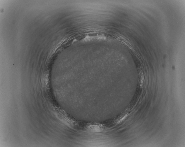 X0000078290595200611251445