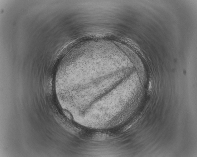 X0000078290596200611251445