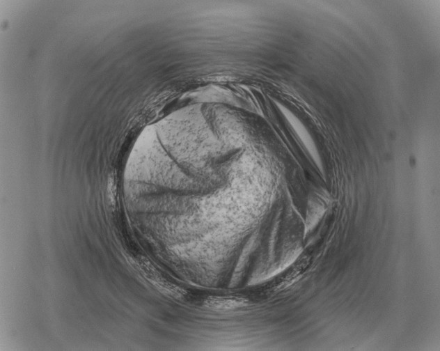 X0000078290597200611251445