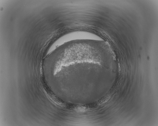 X0000078290598200611251445