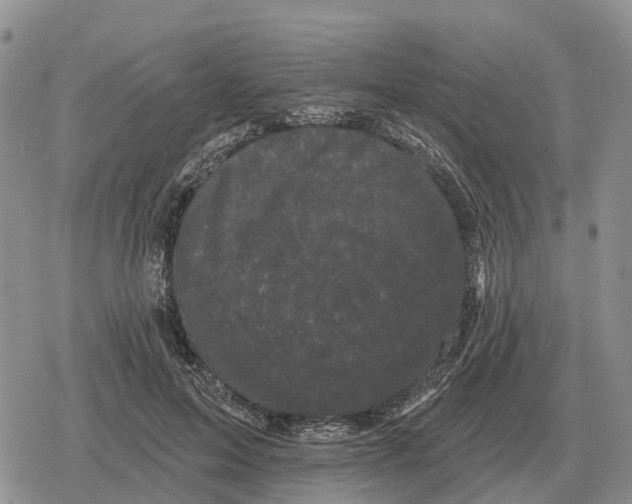 X0000078290599200611251445