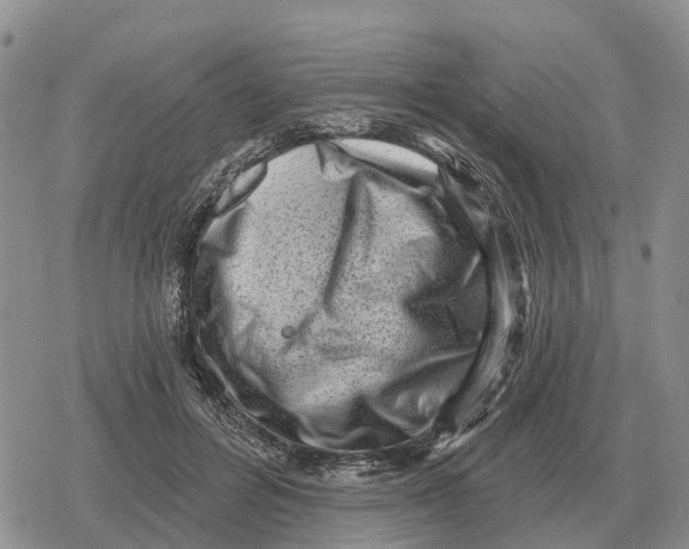 X0000078290600200611251445