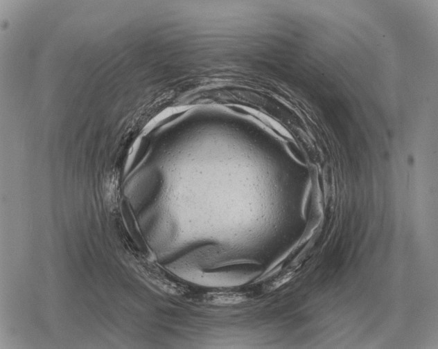 X0000078290601200611251445