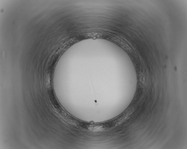 X0000078290602200611251445