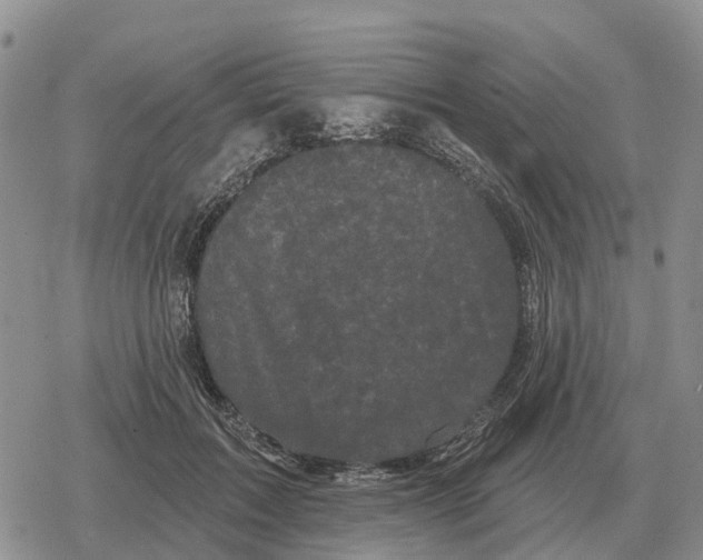 X0000078290603200611251445