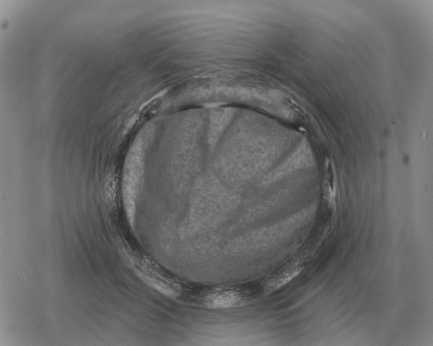 X0000078290604200611251445