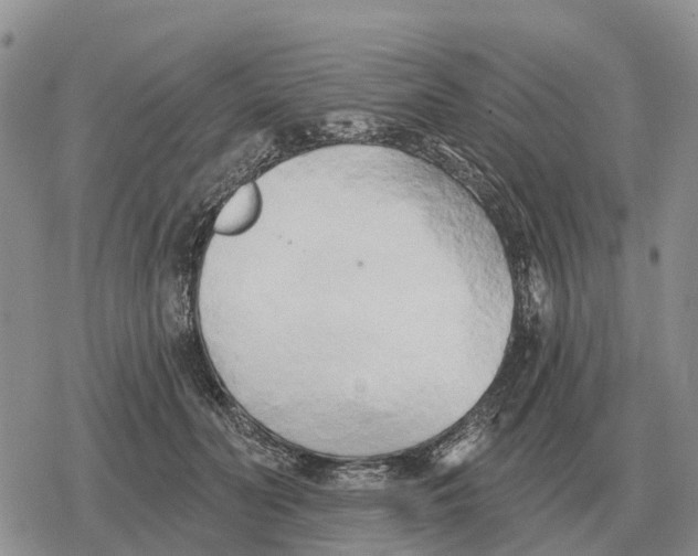 X0000078290606200611251445