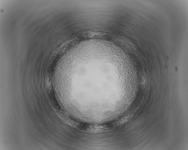 X0000078290607200611251445