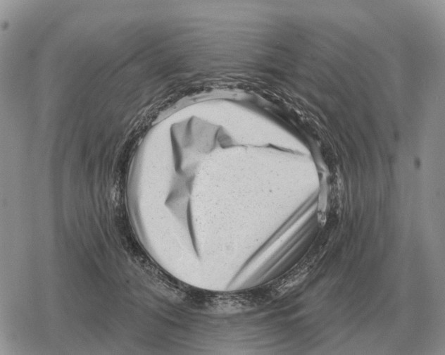 X0000078290608200611251445