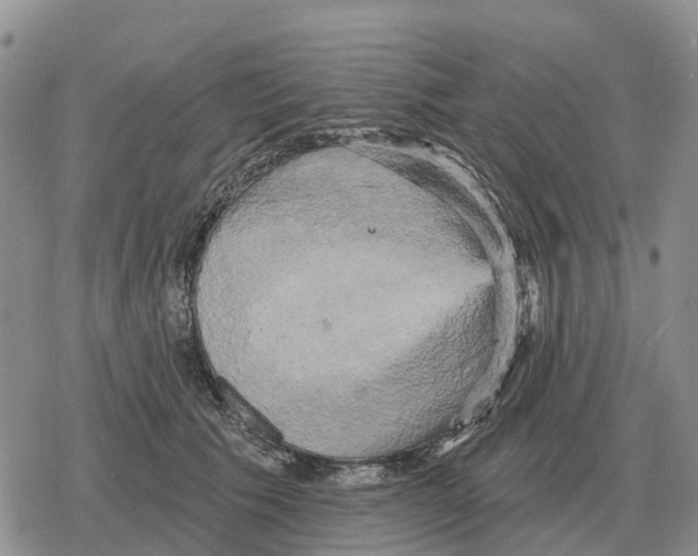 X0000078290609200611251445