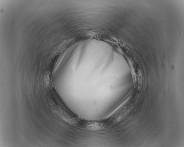 X0000078290611200611251445