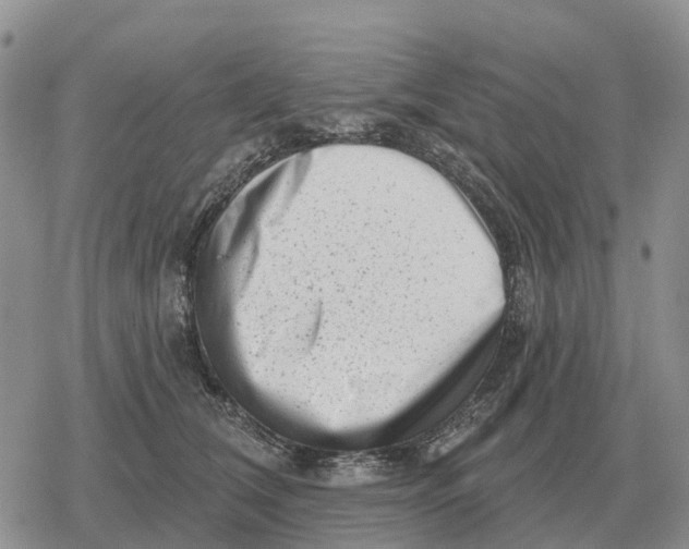 X0000078290612200611251445