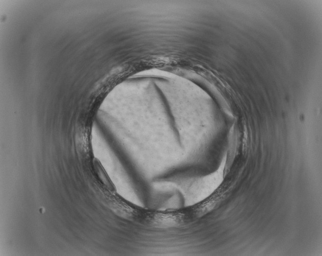 X0000078290613200611251445