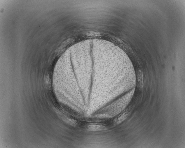 X0000078290614200611251445