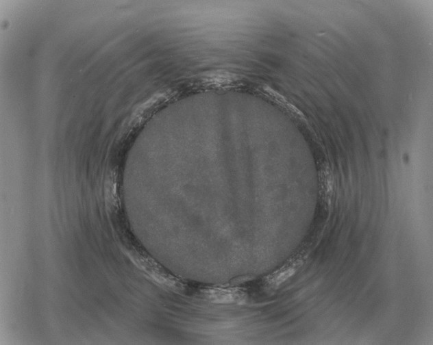 X0000078290615200611251445