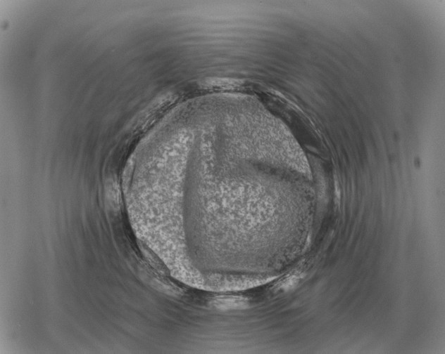 X0000078290617200611251445