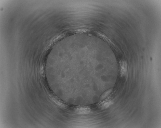 X0000078290619200611251445