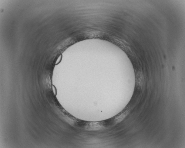 X0000078290622200611251445