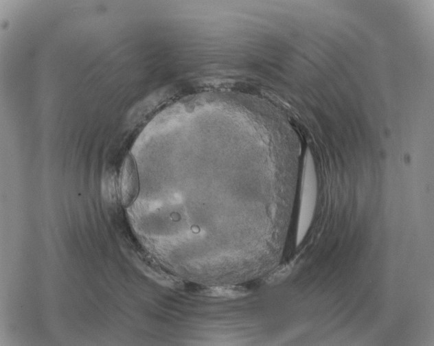 X0000078290623200611251444