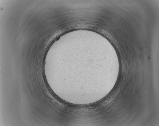 X0000078290625200611251444