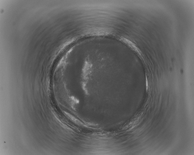 X0000078290627200611251444