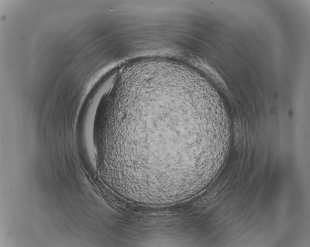 X0000078290628200611251444