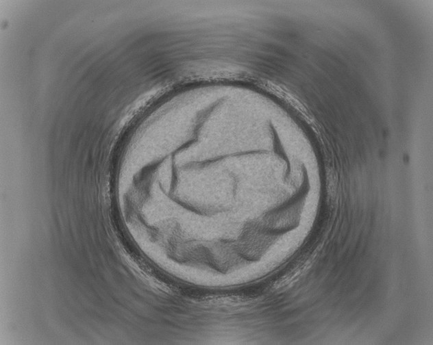 X0000078290629200611251444