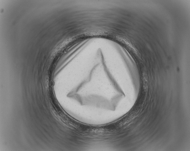 X0000078290631200611251444