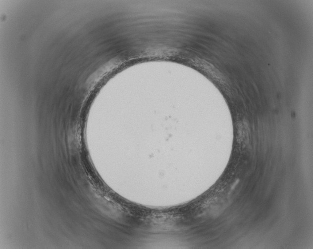 X0000078290632200611251444