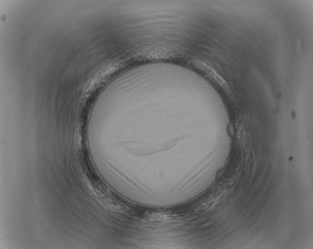 X0000078290635200611251444